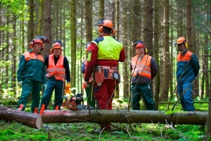 Schutzkleidung lässt sich fast immer als Arbeitskleidung von der Steuer absetzen.